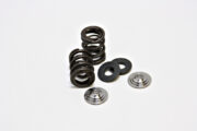 Raptor 250 Valve Springs
