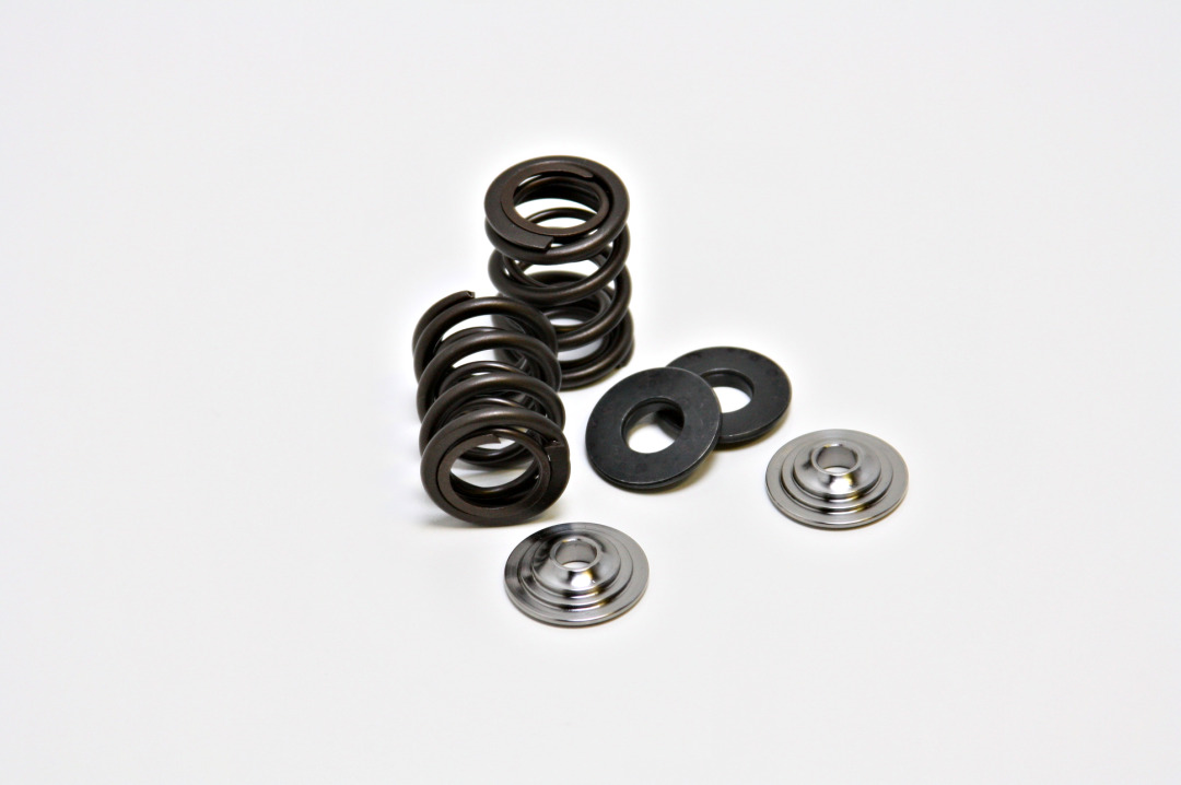 Raptor 250 Valve Springs