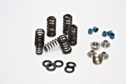 YFZ450 Valve Springs