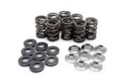 RZR_XP900_KW_valve-springs